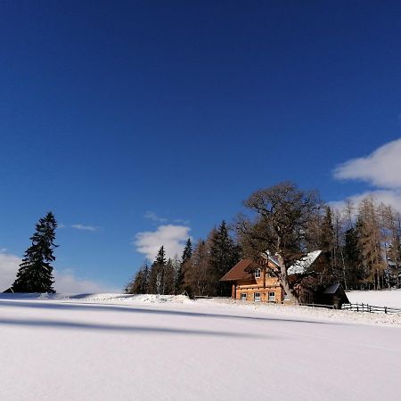Ferienhaus Bichlhuette Pruggern Exterior foto