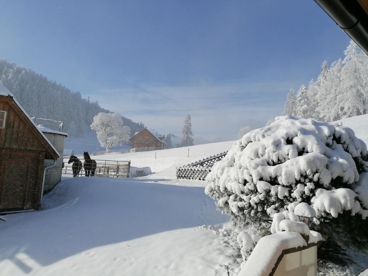 Ferienhaus Bichlhuette Pruggern Exterior foto