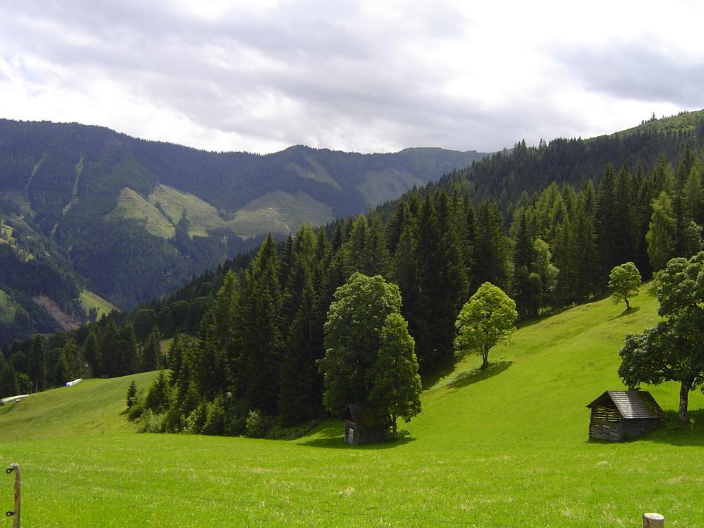Ferienhaus Bichlhuette Pruggern Quarto foto